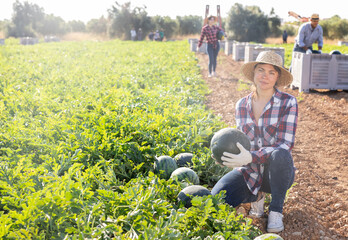 Satisfied woman farmer with watermelon in her hands on a farmer field
