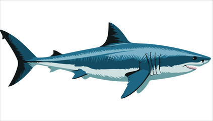 Cartoon ocean predator vector graphic plain backdrop
