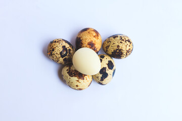Quail eggs on isolated white background (Telur Burung Puyuh)