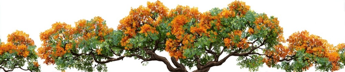 Naklejka premium A vibrant display of multiple trees with orange flowers and green leaves on branches