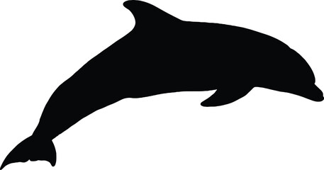 Dynamic black dolphin silhouette leaping joyfully from water, symbolizing freedom and oceanic wonder