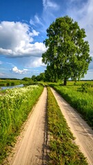 Obraz premium Country lane through summer landscape