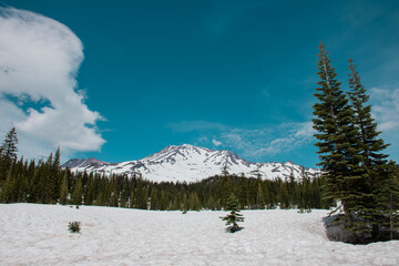 winter landscape with snow