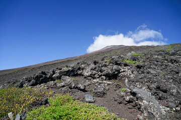 Mt. Fuji Hiking Early Summer
