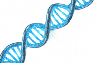 Glowing blue dna double helix rotating slowly on a transparent background, ideal for science and medical themes