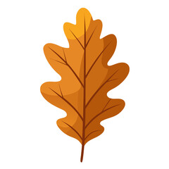 Obraz premium maple leaf isolated on white