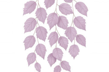 Obraz premium Pink botanical leaves dangling from slender branches, isolated on transparent backdrop