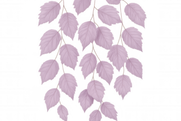 Pink botanical leaves dangling from slender branches, isolated on transparent backdrop