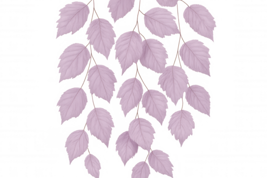 Pink botanical leaves dangling from slender branches, isolated on transparent backdrop