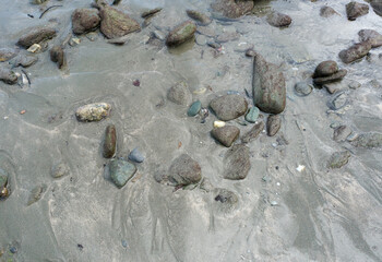 宮摺海岸の砂浜