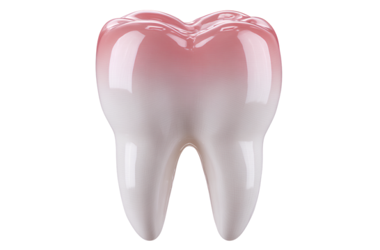  Tooth, white color, transparent background, PNG file with white background, no shadow.