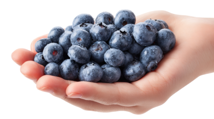 Woman’s Hand Holding a Handful of Fresh Blueberries No Drop Shadow
