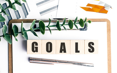 Wooden blocks with goals text on clipboard with charts, green plant and pen