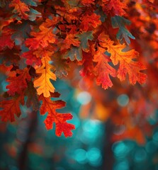 Vibrant autumn leaves in hues of orange and red, hanging from branches against a teal-blurred background