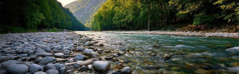 Mountain river flowing through a rocky valley with lush forest