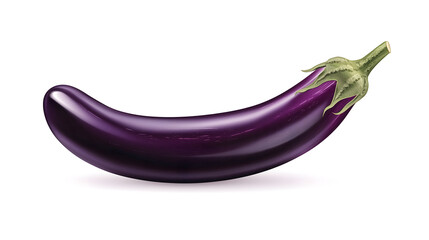 Eggplant Illustration