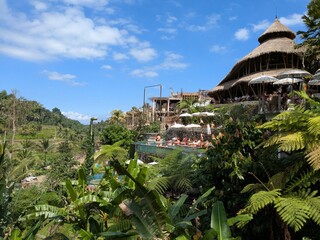 tegalaran rice terrace in Bali island, Indonesia