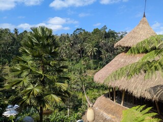 tegalaran rice terrace in Bali island, Indonesia