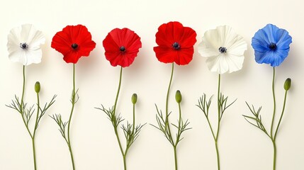 Fototapeta premium Stylized Red White and Blue Poppy Flower Row on White Background