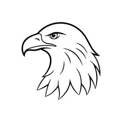 eagle head vector illustration