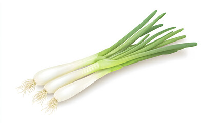 Green Onion Illustration