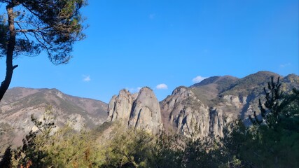 Low angle view of frost-covered bare tree branches against blue winter sky