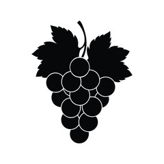 grapes vector illustration