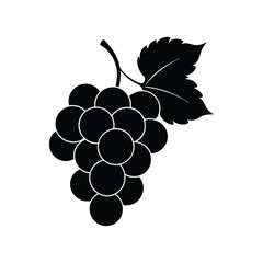 bunch of grapes vector