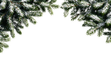 White background with snow-covered fir branches at the top and bottom of the frame, creating an elegant winter-themed border for design projects or promotional materials.