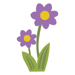 Two charming purple flowers with green leaves, adding beauty to gardens and floral decorative outdoor plant designs.