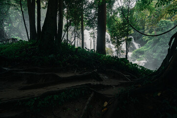 Serene Wachiratharn Waterfall in Chiang Mai Surrounded by Lush Greenery