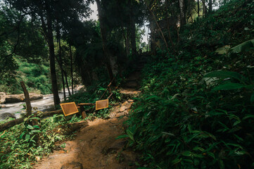 Serene Wachiratharn Waterfall Scene in Chiang Mai with Lush Greenery and Trail