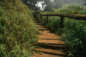 Serene Steps Leading to Hidden Wachiratharn Waterfall in Chiang Mai, Thailand