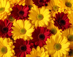 Fototapeta premium Close-up of yellow and red flowers