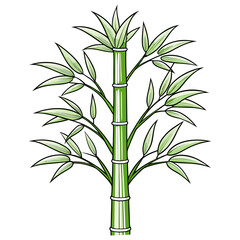 Naklejka premium bamboo on white background