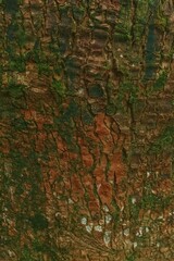 Bark Texture: A Brown and Green Study