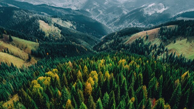 High-angle view of a mountain valley, forests, and hills. Lush green forests with hints of fall color descend into a valley. Distant mountains form a backdrop