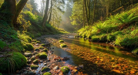 Fototapeta premium River stream