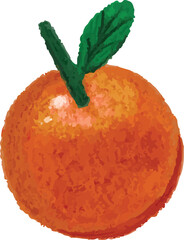 Vector hand drawn oil pastel painting orange on white background, Single Orange Fruit Vector Illustration