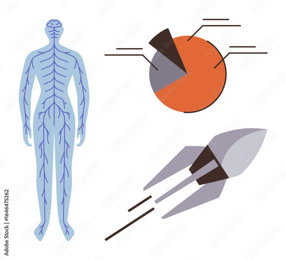 Poster human nervous system anatomy alongside pie chart with data points and a rocket. ideal for science, h