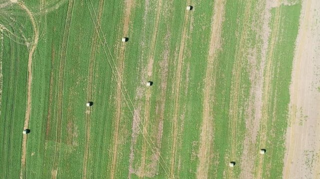 Aerial view of a green agricultural field with hay bales in the countryside