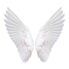 Fototapeta premium A pair of large, white angel wings with detailed feathers, symmetrically spread open and curved outward, showcasing a soft and delicate texture