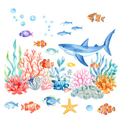 Obraz premium A vibrant underwater scene featuring a blue shark swimming among colorful fish, coral reefs, seaweed, bubbles, and a starfish