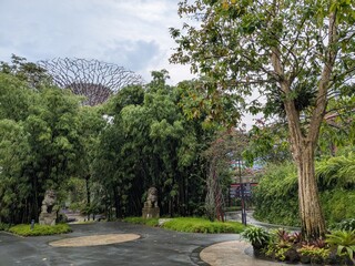 Grdens by the bay in singpore