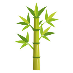 Naklejka premium bamboo isolated on white background