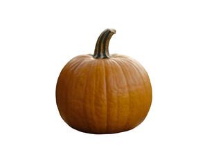 Obraz premium Pumkin. Halloween. Samhain