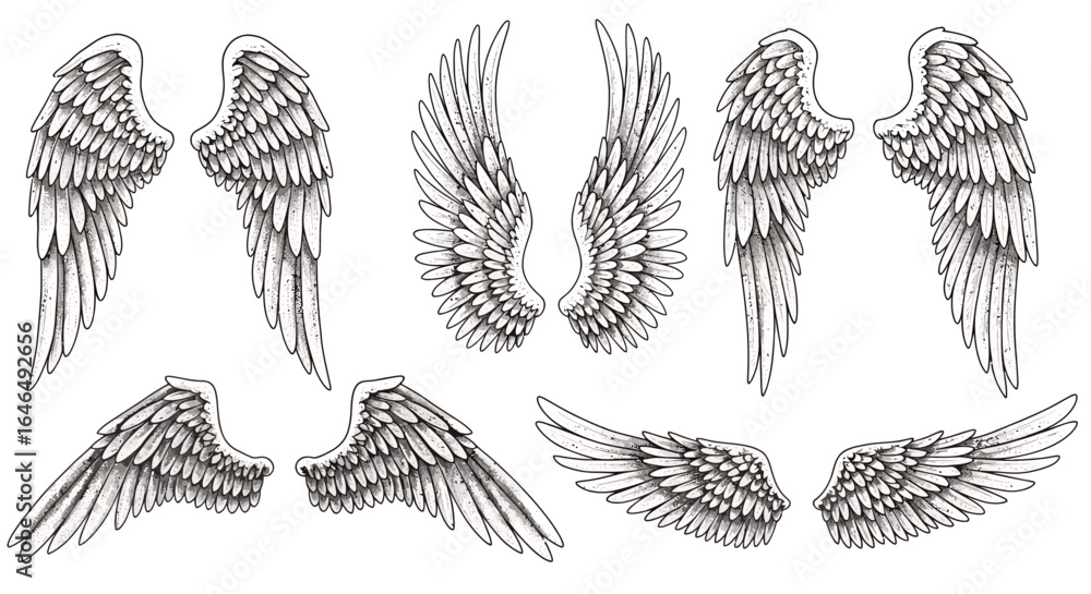 Poster detailed vector illustrations showcase a collection of stylized angel wings, perfect for adding a to
