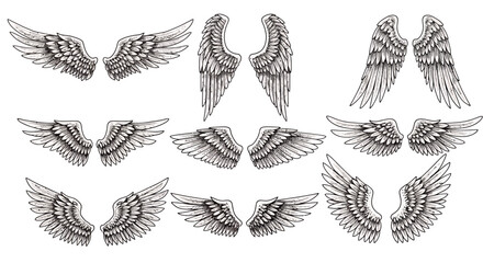 A comprehensive collection of beautifully detailed vintage engraved wing designs, perfect for graphic design projects and decorative elements on a white background.