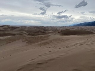 sand dunes in the desert