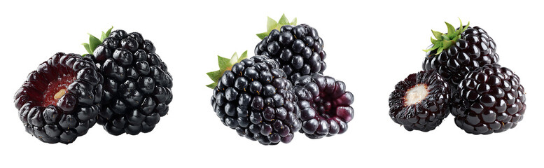 A set of three images featuring close up views of fresh blackberries against a white background studio shot